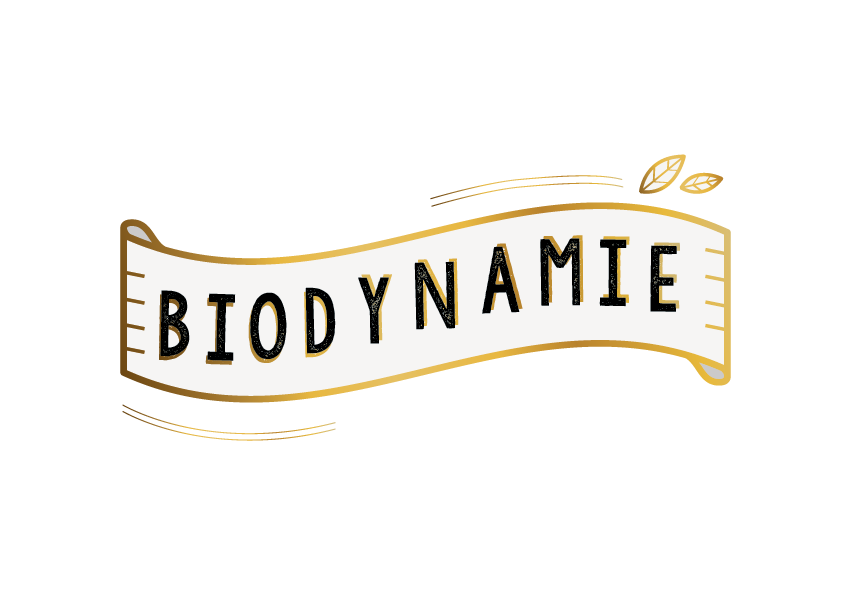 Domaine Cazes - Vigneron Indépendant, vins du Roussillon, Bio, Biodynamie à  Rivesaltes, Oenotourisme