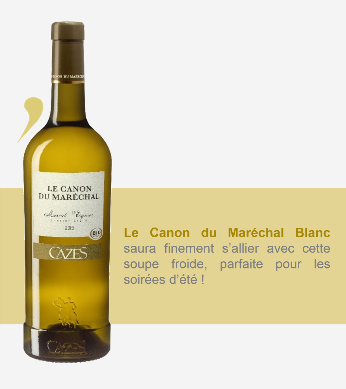 Canon-du-marechal-fond-gris-23-2.png